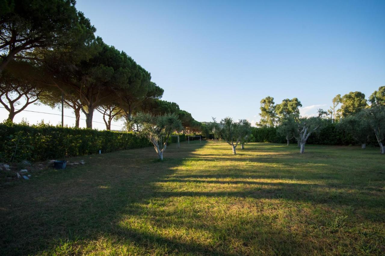 Villa Degli Ulivi Capalbio Exterior foto